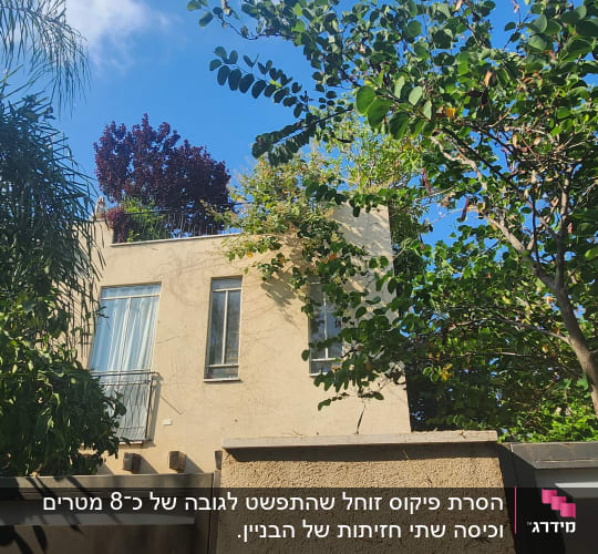 צמרות עצים וצמחייה לצד חזית מבנה על רקע שמיים